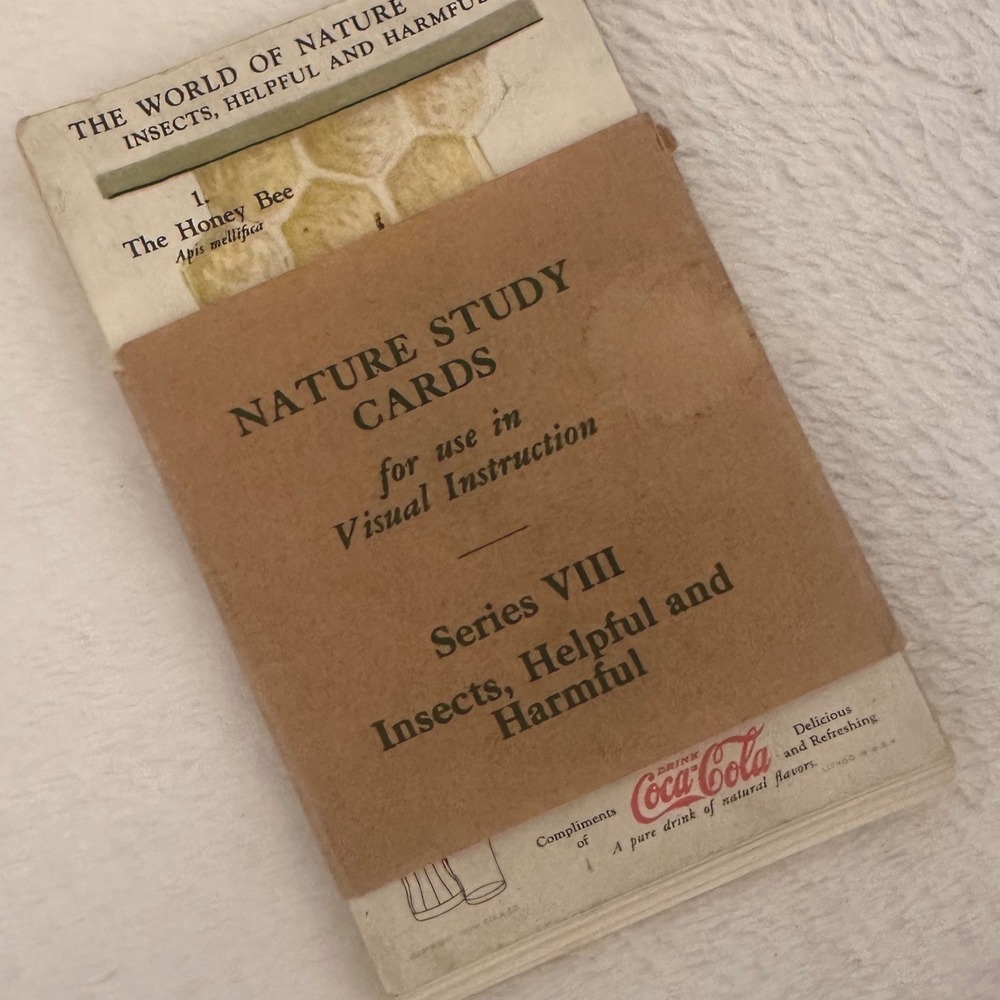 Vintage Coca-Cola Nature Study Cards Series VIII Insects 12pc Set Good Condition